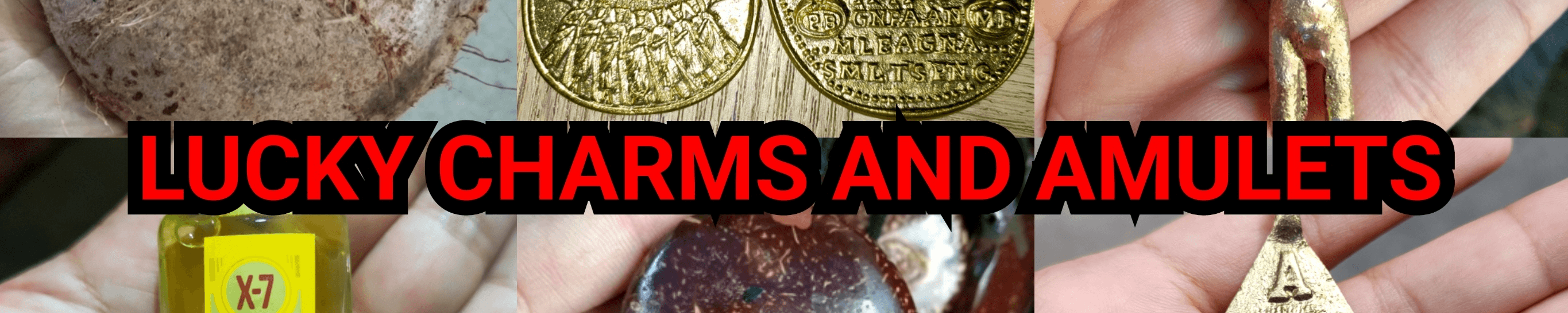 Lucky Charms And Amulets logo